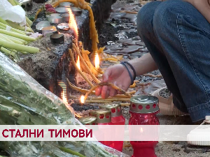 Стални тимови