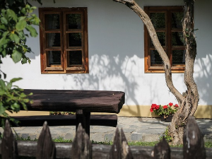  1001 Траг - Из меане једне - Станиша Стошић 