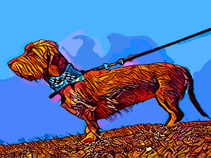  Добро јутро децо: Сан који можда и није сан 