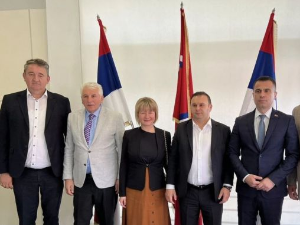Милићевић: Солидарност и јединство српског народа кључни за очување идентитета