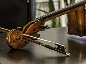 Уметност интерпретације – Виолончелиста Анер Билсма