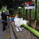 "Проблем у Србији је што се превенцијом бавимо ретко, спорадично и након трагедија"