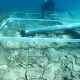 У дубинама мора код Корчуле пронађени остаци пута и насеља стари  7.000 година