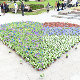 Дан Европе у Београду – срце од цвећа за страдале у злочинима