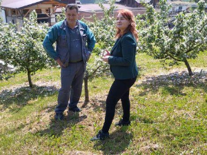 Знање имање: Село зелено