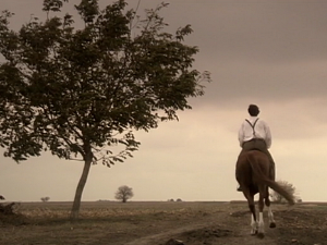  1001 Траг – Кад би знала дилбер Стано – Милан Бабић 