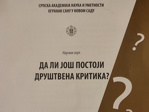 Да ли још постоји друштвена критика? Говори Стеван Брадић