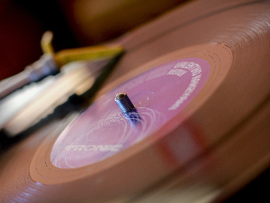 We care about disco!!!