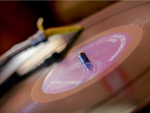 We care about disco!!!