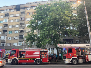 Пожар у Војводе Степе на Вождовцу, 19 полицајаца гасило ватру