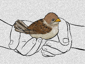  Добро јутро децо: Врабац Верољуб 