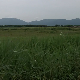 Ко су голаћи са Вршачких планина