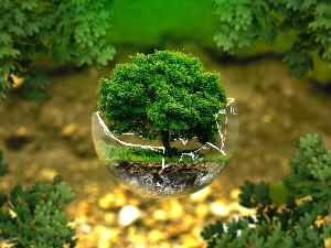 Како обележити Светски дан животне средине?