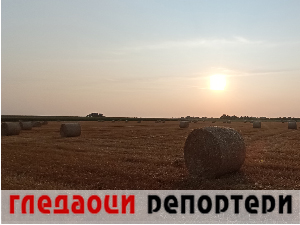 Гледаоци репортери (11. јул 2023.)