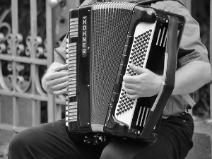 Свирај свирче – хармоника дугметара 