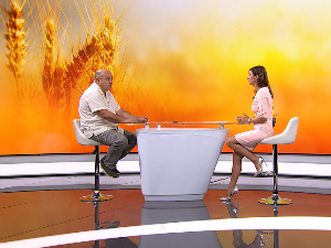 Род пшенице испод просека, као и цена – професор Рајић има предлог и поруку за пољопривреднике