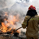 Гори околина Атине, у последња 24 сата у Грчкој избило 46 пожара