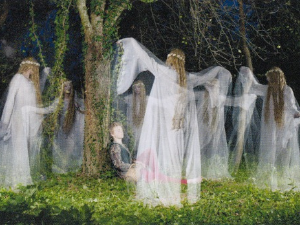 Виле у традиционалној култури