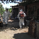 Танасковић: Апел газдинствима да не крију појаву свињске куге