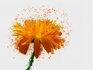  Радио Невен, 2. епизода 