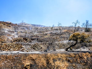 Пожар на грчком острву Иос изазвала саобраћајна несрећа, ватра под контролом