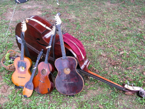  Тамбурица златна жица 