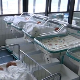 Рођене четворке у Новом Саду - први пут у Клиничком центру Војводине