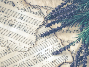 Свирај свирче - дипле 