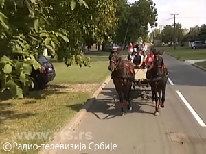 1001 Траг - Монти чардаш