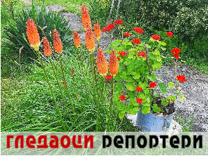 Гледаоци репортери (15. август 2023.)
