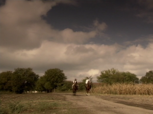 1001 Траг - Мој дилбере, рођо моја 