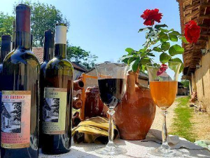 Знање имање: Варљиво лето