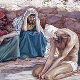 Југослав Бошњак: Књига о Јову