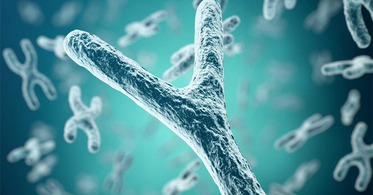 Научници коначно успели да секвенцирају последњи део људског генома: Y хромозом