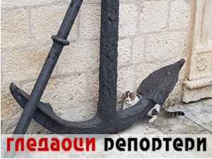 Гледаоци репортери (27. август 2023.)