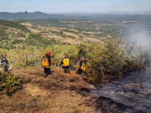 Српски ватрогасци наставили борбу са ватреном стихијом у Грчкој