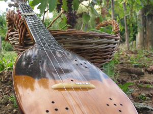 Тамбурица златна жица 