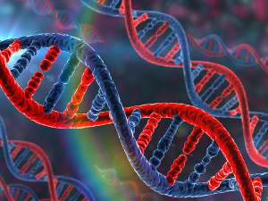 Нови број часописа „Елементи” – откриће структуре ДНК