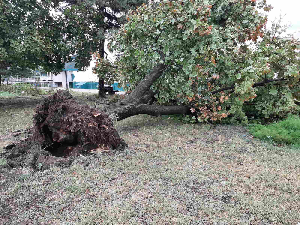  Последице невремена у Србији