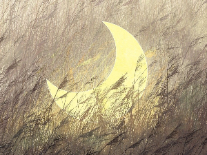 Добро јутро децо: Ћилим од месечевих нити