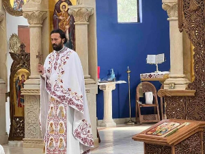 Медијска мрежа српске дијаспоре: Амерички сан