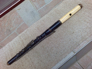 Лиза Безносиук, барокна флаута