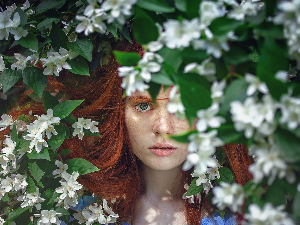 1001 Траг - Вилинско коло