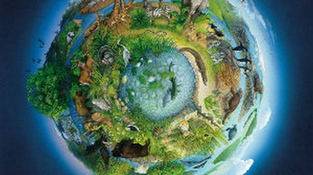 Соларис: Вештачки агенси