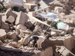 Стравичне слике после смртоносног земљотреса у Мароку 