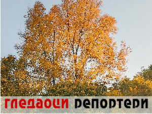 Гледаоци репортери (12. октобар 2023.)