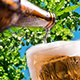 Пиво више неће бити исто – глобално загревање промениће квалитет и његов укус