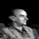 Борислав Михајловић Михиз