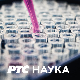 Српска музика кроз векове: Музика средњовековне Србије, световна музика