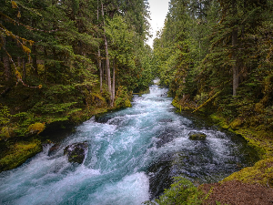1001 Траг - Двије су се воде завадиле